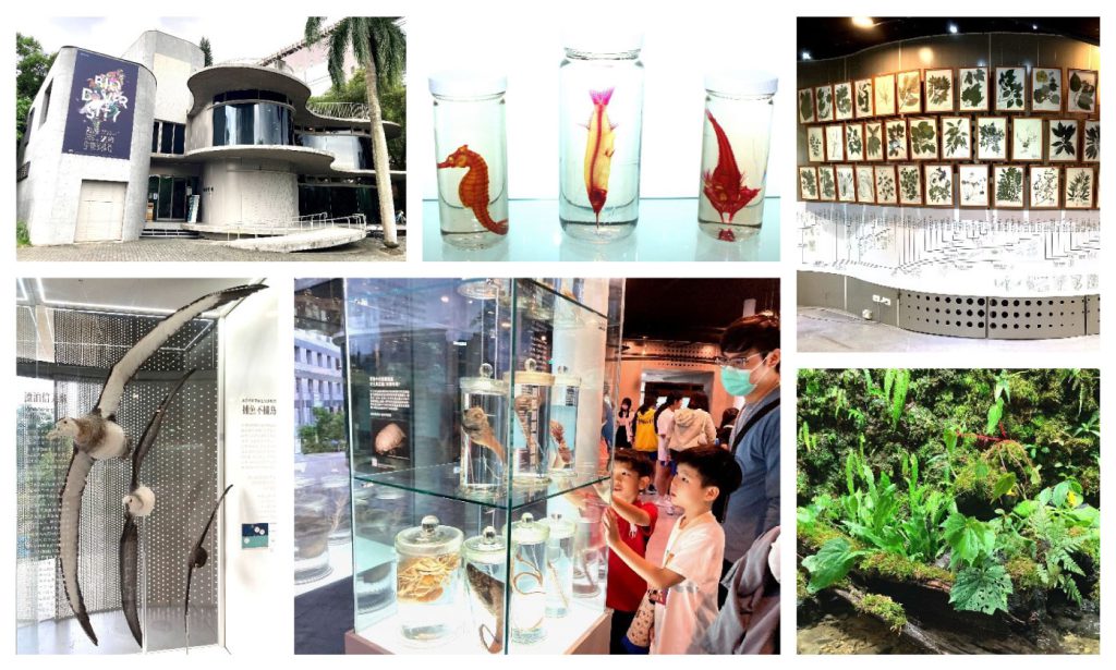 生物多樣性研究中心「驚艷臺灣生物多樣性特展」