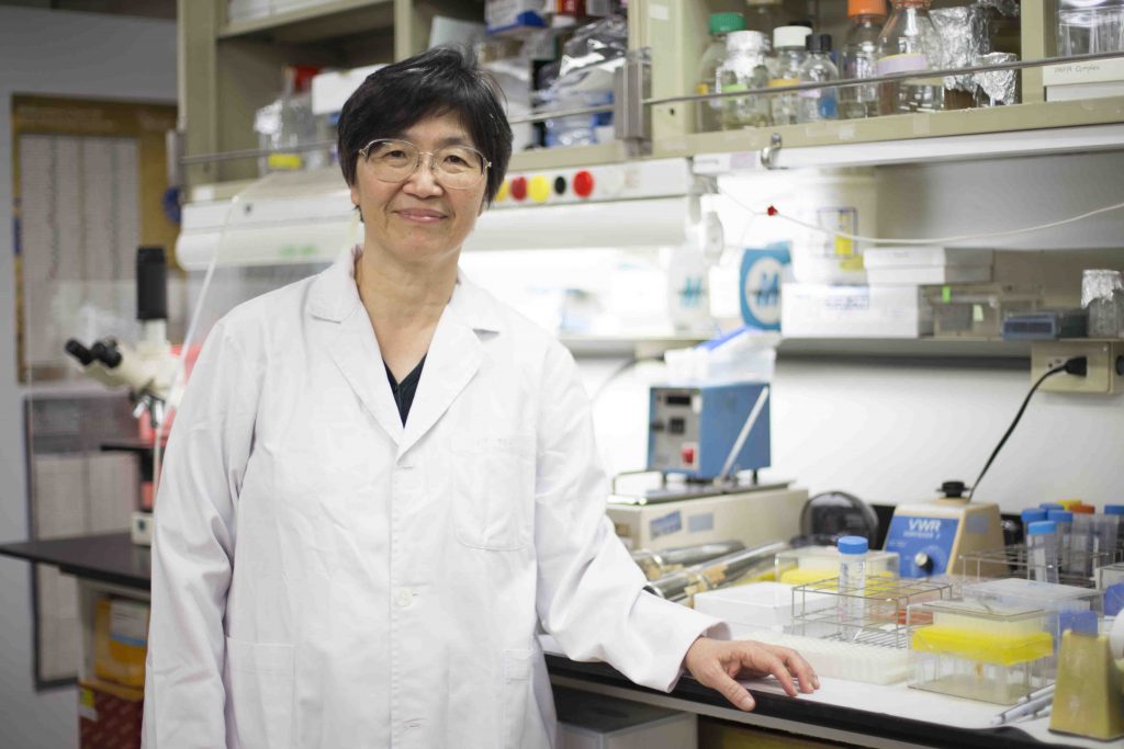There Are Film Editors Living in Our Bodies! Dr. Soo-Chen Cheng’s Research on RNA Splicing