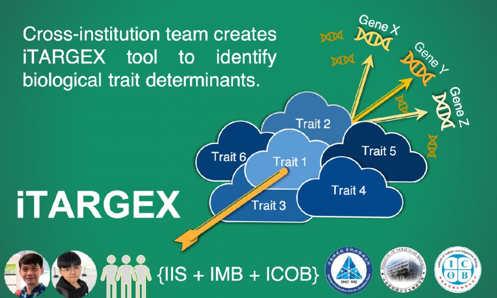 Cross-institution team creates “iTARGEX “ to identify biological trait determinants