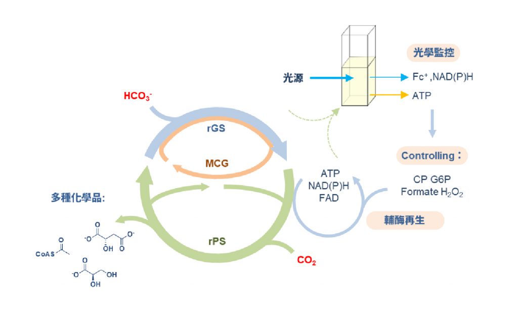 Faster than Photosynthesis! Academia Sinica Creates an Efficient Carbon Fixation System to Support Carbon-Negative Technologies