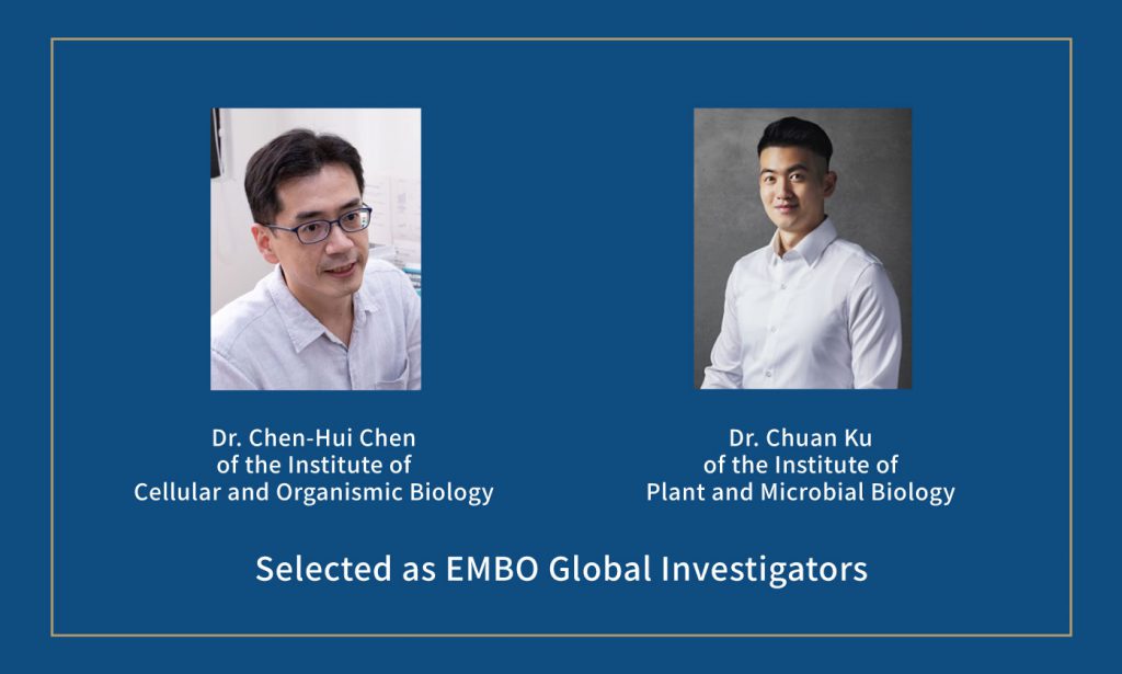 Dr. Chen-Hui Chen of the Institute of Cellular and Organismic Biology and Dr. Chuan Ku of the Institute of Plant and Microbial Biology Selected as EMBO Global Investigators