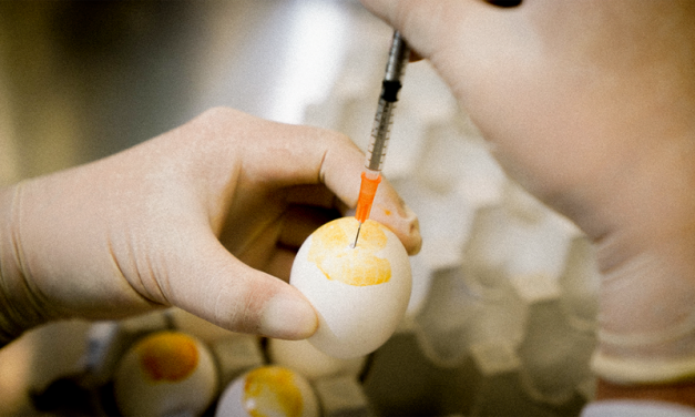 用雞蛋作強化版流感疫苗  病毒突變也不怕