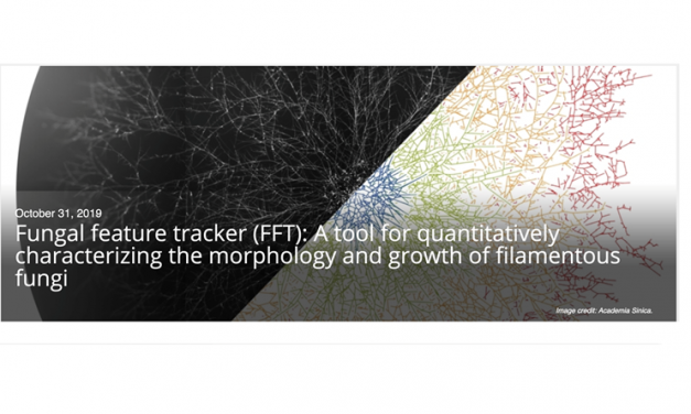 影像分析軟體「Fungal Feature Tracker」將可促進真菌學研究