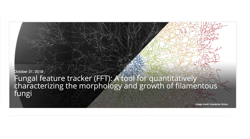 影像分析軟體「Fungal Feature Tracker」將可促進真菌學研究