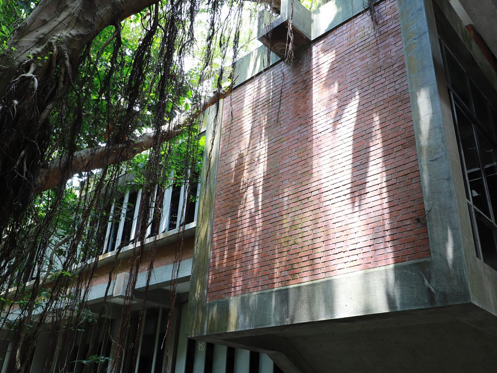 【院慶特刊-02】戰後第一代綠建築先驅——歐美研究所圖書館