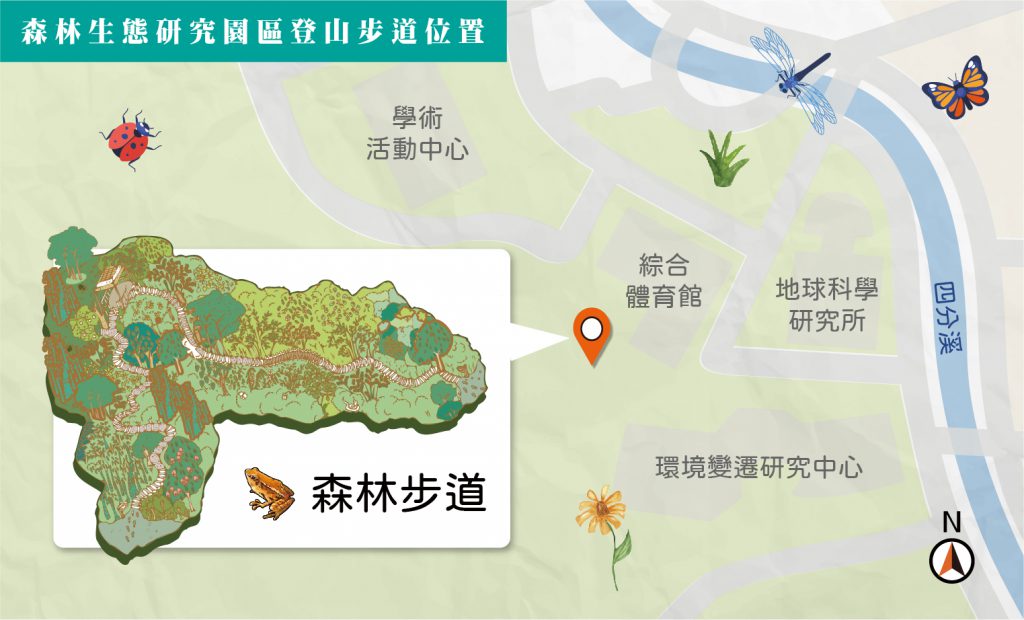 【院訊特刊-04】臺北近郊森林的縮影、動物們的饗宴天堂——森林步道植物篇
