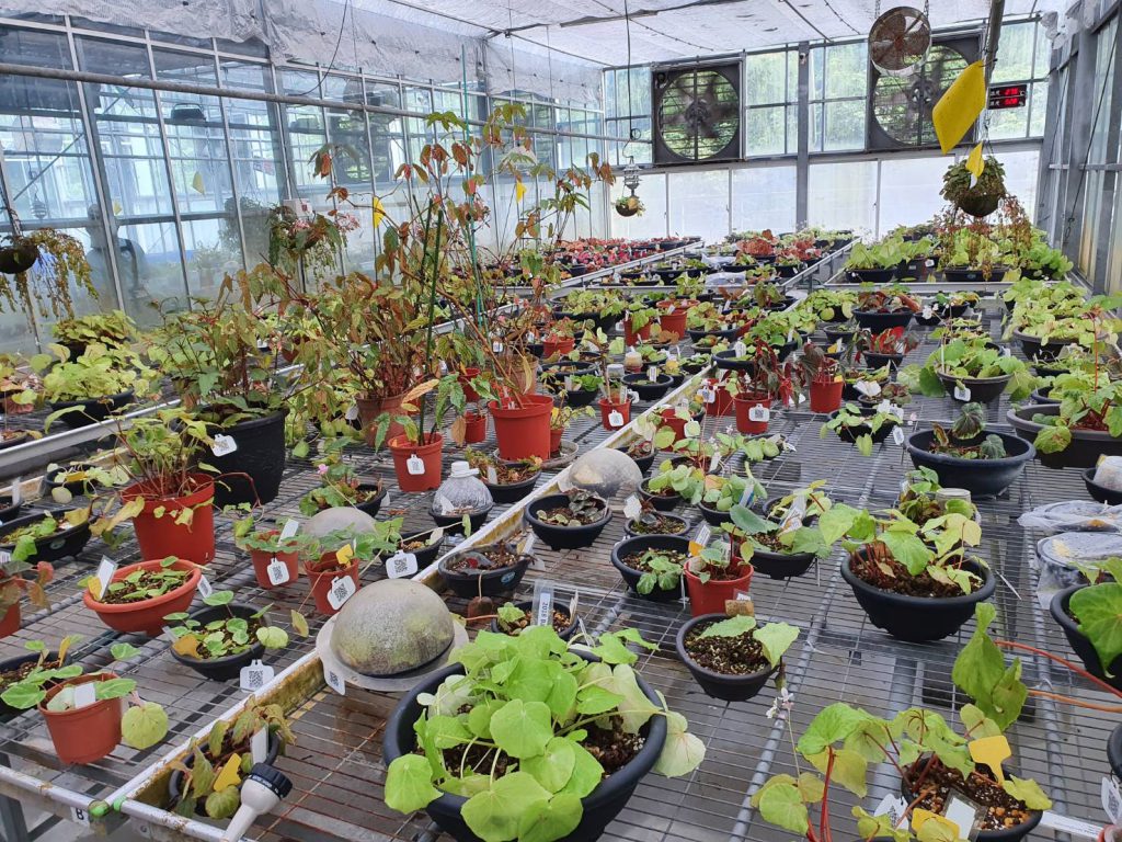 【院訊特刊-01】探訪神祕「植物基地」—— 中研院「實驗植物核心溫室」