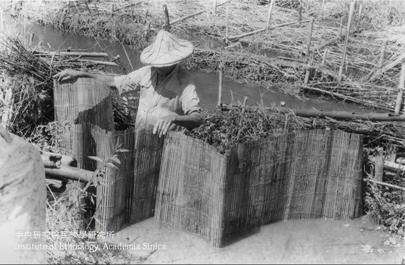 「心繫 Fata'an」共作展 9 月開幕 阿美族馬太鞍部落攜手中研院民族所 喜迎 60 年文物返鄉展出