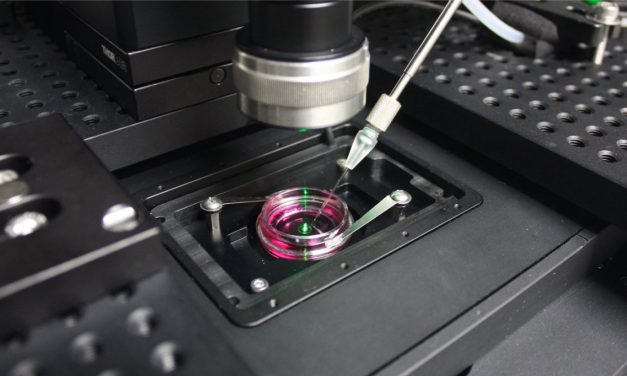 【專欄】生物光學顯微影像——免標記顯微術的再次崛起